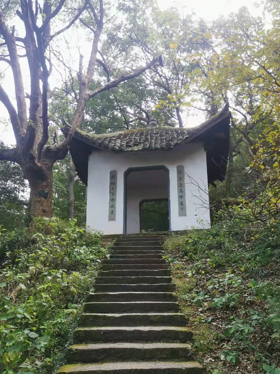 1726214491287772.jpg 1-211115111145E5.jpg