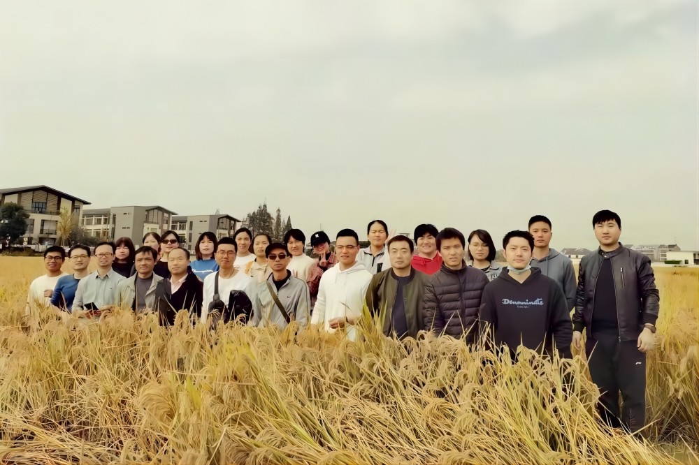 1726214753608244.jpg 1-211115124100A0.jpg