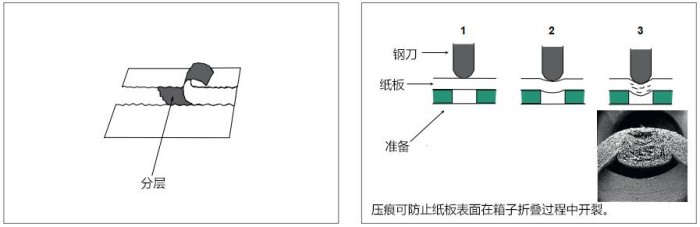 1752826709454183.jpg 圖片5.jpg