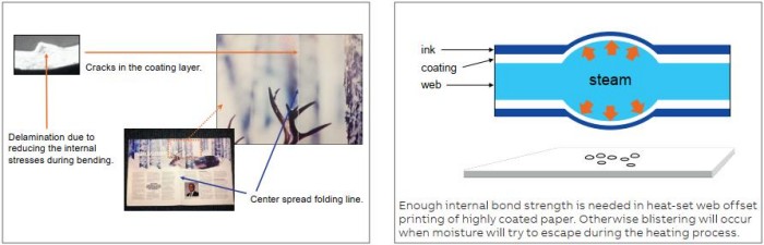 1752826727340340.jpg 圖片6.jpg